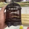 Nueva Jaula para Grillos Hecha a Mano de Palosanto Bambú Jaula para Grillos Plástico Zumbador Insecto Zumbador Parte Superior Redonda