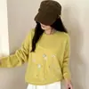 Tricô Feminino 2026 Outono/Inverno Novo Estilo Todo Lã Bordado Floral Gola Redonda Solto Estilo Preguiçoso
