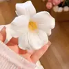 Presilhas de Cabelo Série Oceano com Flores Preservadas, Estrelas-do-Mar, Conchas e Frutas para Viagens à Beira-Mar e Fotos de Férias