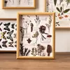 Moldura para espécimes de plantas, moldura de picture frame vintage em estilo floresta oca tridimensional de pinha e folha feita à mão, ornamento decorativo de mesa