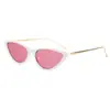 Gafas de Sol Metálicas Triangulares Ojo de Gato Retro Europeas y Americanas Estilo Coreano Montura Pequeña de Moda Celebridad de Internet Estilo Callejero Hip Hop Club