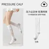Meias Zhuji Femininas Profissionais Esportivas Meias de Compressão para Panturrilha Meias para Primavera e Outono Absorventes de Suor Meias para Badminton Fitness Corrida Tênis