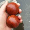 Bola de Salud Auténtica de Tuya de Liangshan, Bola de Transferencia de Salud, Llena de Cicatrices, Pelota de Mano, Portátil y de Alta Gama