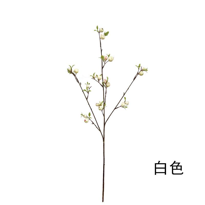 小苹果 (4).jpg