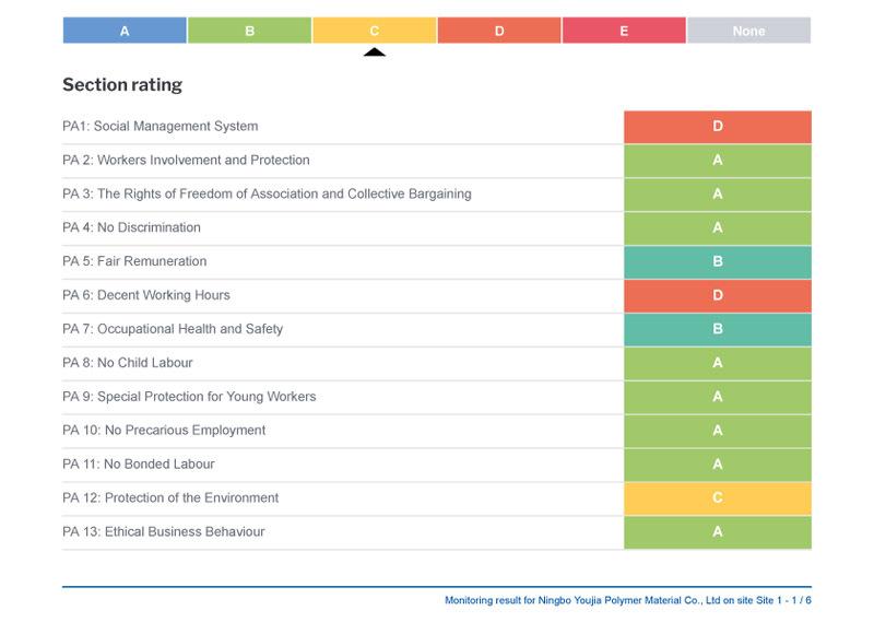 宁波优伽BSCI报告2