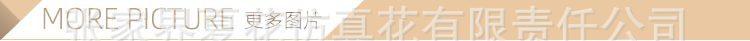 大号平铺绣球花排架子_08.jpg
