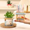 Casa de Chá Cartoon Criativa Plantas em Vasos de Animais Vasos de Flores Suculentas Jardinagem Doméstica Decoração de Mesa de Estudante Enfeites Presentes de Resina