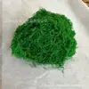 Simulação musgo de cabelos brancos musgo filamentoso gramado simulação musgo de lã musgo falso layout de paisagem gramado bonsai loja de plantas em vasos