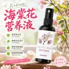 Solução Nutricional Especial para Begônias, Fertilizante Orgânico Foliar Solúvel em Água, Sem Diluição, Fertilizante para Flores, Promoção e Floração, Fertilizante Orgânico Aquático