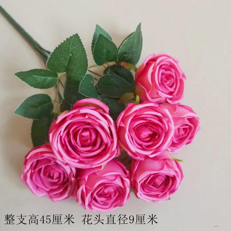 皇妃玫 玫红色