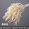 Serie de Flores de Tira Color Champán Seda Artificial de Boda Niebla Phalaenopsis Arco de Salón de Bodas Ramo de Decoración Falsa Dropshipping