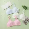 En stock: Ropa interior de desarrollo para niñas, sin varillas, para adolescentes, fina, transpirable, cómoda, con tirantes ajustables