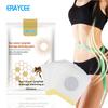 Eraycee Parche Corporal Popular Transfronterizo de Veneno de Abeja Parche para Puntos de Acupuntura Shuo Cuidado Corporal y del Cuerpo 10 Parches/Bolsa