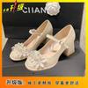 Zapatos Bajos para Mujer con Faldas, Zapatos de Boda, Zapatos de Dama de Honor, Zapatos de Tacón Grueso de un Solo Color, Zapatos de Salón Mary Jane Nuevos Estilos Primavera/Verano 2025 para Mujer que Aumentan la Altura