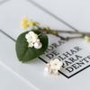 Aretes de Plata S925, Aretes de Perlas de Agua Dulce con Incrustaciones de Diamantes Modernos y Dulces, Elegantes Aretes de Flor de Concha E4957