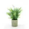 Atacado do Fabricante Transfronteiriço Planta Simulada Pequena Planta em Vaso Combinação Vaso Cilíndrico Retrô Enfeites de Mesa para Casa Decoração de Bonsai