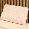 Almohada de espuma viscoelástica, diseñada para proteger la columna cervical, adecuada para estudiantes en residencias, uso individual, con relleno de rebote lento y una funda de almohada, cómoda para uso doméstico