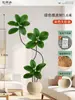 Plantas Verdes Artificiais de Alta Qualidade para Decoração de Sala de Estar, Planta Realista Falsa de Figueira-da-Índia Preta para Decoração de Sala de Transmissão ao Vivo