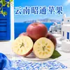 Maçãs Zhaotong de Yunnan Dropshipping Frutas Feias Produtos Frescos Sazonal Embalagem de Caixa Brix 10+ Pacote Familiar Fruta Fresca