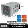 Wsk-H(O) Controlador de Temperatura e Umidade Tipo Dial Chaveamento Totalmente Automático de Aquecimento e Resfriamento Gabinete de Distribuição Desumidificação e Anticondensação