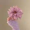 2025 Nuevo Clip Pinza Grande de Flor de Hada Súper Alto Valor de Color Elegante Pinza para el Cabello Parte Trasera de la Cabeza Pinza de Tiburón Flor en la Cabeza Tocado