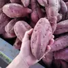 Auténtico camote dulce enriquecido con selenio de Qiaotou, Chengmai, Hainan, camote fresco, origen directo, camote castaño arenoso, primera generación de cabello