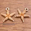24 Tipos de Estrellas de Mar Simuladas Acrílicas, Conchas de Caracol, Colgantes para Pulseras DIY Serie Oceánica, Cuentas y Accesorios para Joyería