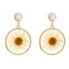 Comercio Exterior Transfronterizo Joyería Planta Seca Natural Colgante de Crisantemo Collar Pendientes de Margarita Accesorios para Mujeres Estilo Ins Moderno