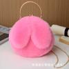 Bolsa de Coelho de Pelúcia Feminina Transversal Estilo Coreano Fofa Portátil Bolsa Mao Mao Outono e Inverno Nova Bolsa com Presilha de Orelha de Coelho