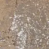 Jiaxin Têxtil Outono Novo Tecido de Malha para Base Lantejoula Tecido Loja Inteira Tecido Bordado Reto Vestido Tecido Bordado