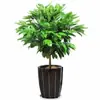Árvore da Paz em Vaso Grande Planta Verde Interior Sala de Estar Perene Absorvedora de Formaldeído Escritório Ornamental Mudas de Bonsai