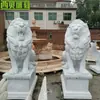 Escultura de Pedra Mármore Sentado Leão Europeu Estátua Animal de Jardim Escultura Villa Pátio Entrada Pisando em Bola Leão Ocidental