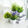 Flores Artificiales, Decoraciones Creativas de Mesa para el Hogar, Flores de Plástico, Césped Artificial, Plantas Verdes, Decoraciones de Interior, Mini Artículos Decorativos, Bonsái