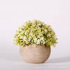 Planta Verde Simulada Vaso Bonsai Bola Redonda Mais Vendida Fabricante de E-commerce Transfronteiriço Venda Direta por Atacado Móveis para Casa