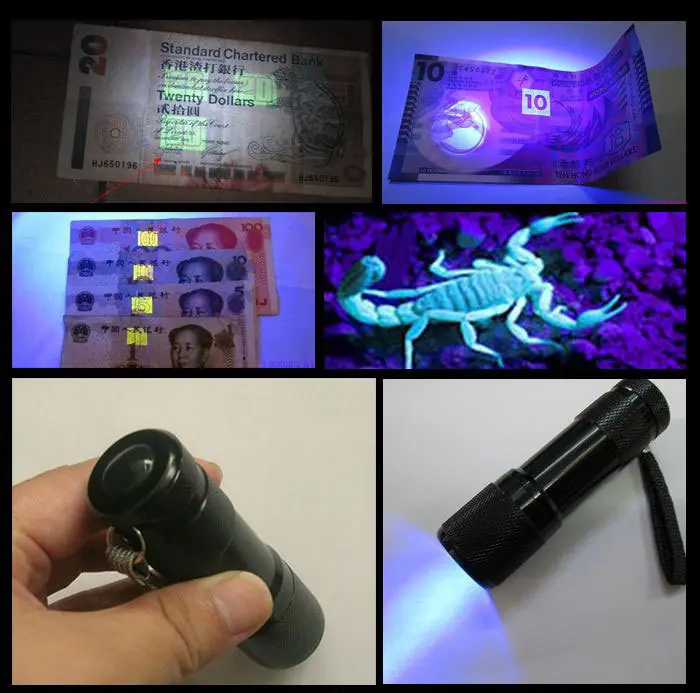 1592427444_85890888