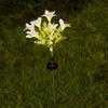 Decoração de Jardim Externo Pátio Luzes de Gramado para Chão Flores Artificiais LED Luzes de Lírio Solar de 7 Cabeças Luzes Decorativas para Pátio