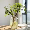 Ligustro de Hojas Pequeñas Famoso en InternetDecoración de Planta Verde Hidropónica Cortada Fresca para Uso en Interiores, Fácil de Mantener Todo el Año, Adecuado para Salas de Té