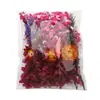 Flores Secas Coloridas DIY Kit de Materiais para Flores Eternas Gipsofila Artesanal DIY Pulseira Colar Acessórios de Joias Materiais