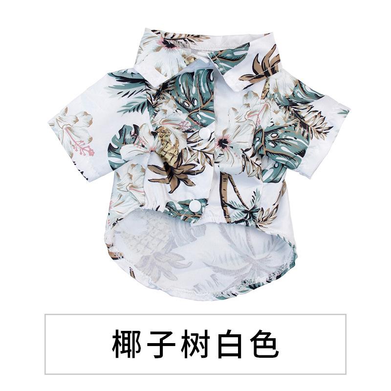椰白.jpg