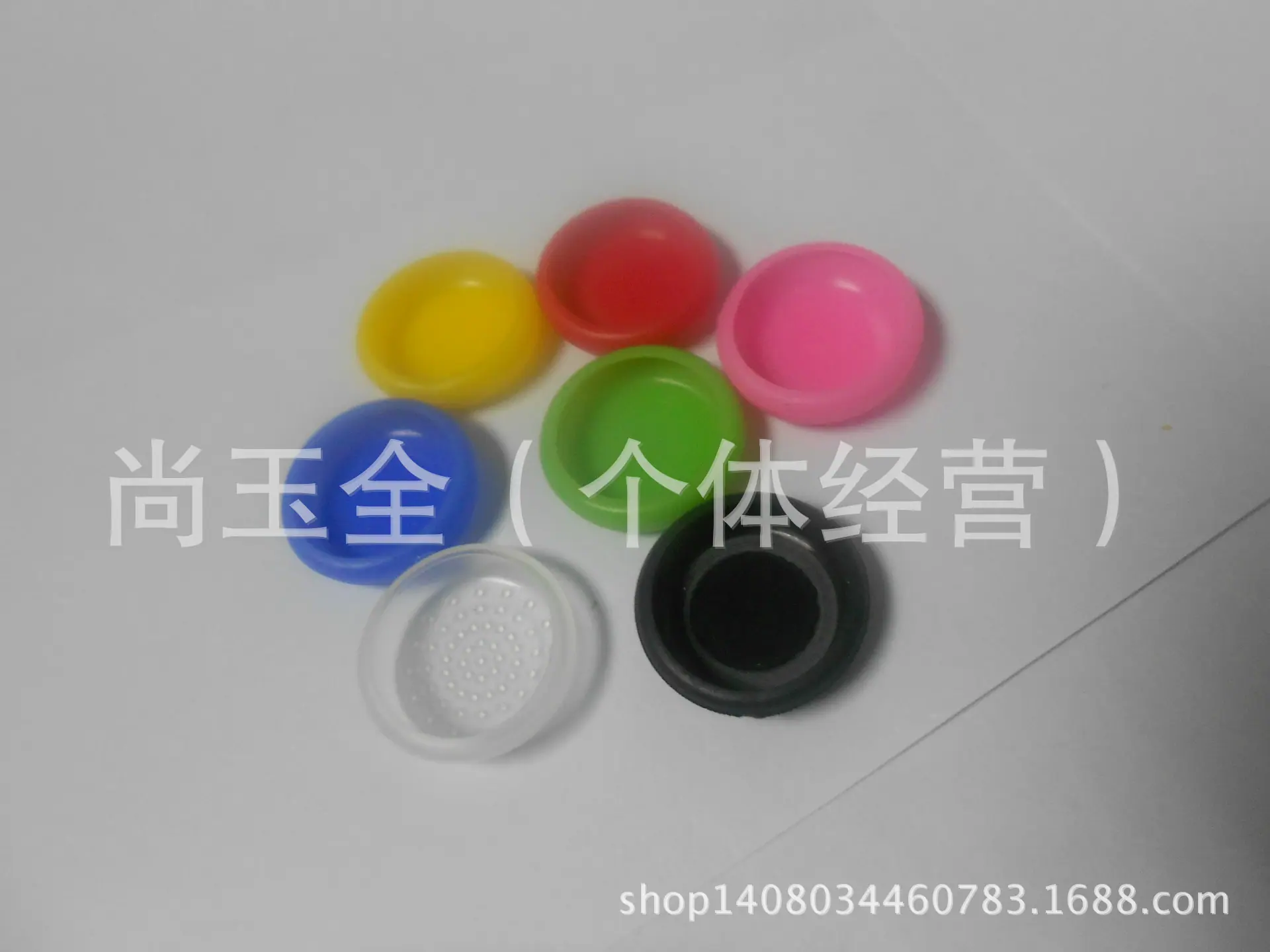 DSCN1582