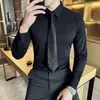 Camisa de Tencel para Hombre Estilo de Negocios de Lujo Ligero, Manga Larga, Sin Arrugas, Antiarrugas, Temporada de Primavera, Tacto de Alta Gama, Corte Ajustado, Empaque en Caja de Regalo