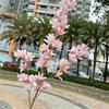 Dia dos Namorados simulação fabricante de rosa pink 3 hastes únicas rosa de várias cabeças pink decoração de casamento flor artificial atacado