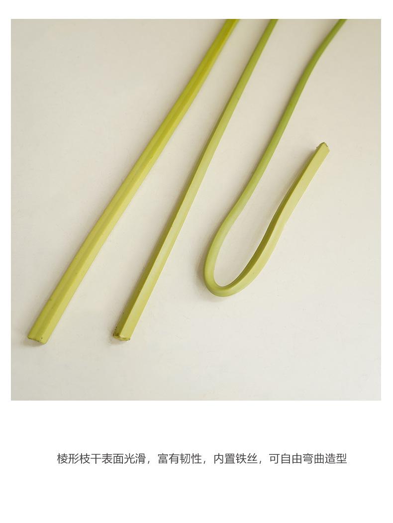 小号网纹马蹄莲_11.jpg