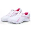 Zapatos de Golf Pgm para Mujer Zapatos de Golf de Clavo Fijo para Mujer Zapatos Deportivos y Casuales para Mujer Venta al por Mayor de Fábrica
