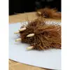 Venta al por mayor de plántulas de raíz de lirio de los valles germinadas, plantas verdes pequeñas en maceta, bulbos resistentes al frío, jacintos fragantes, plantas de flor de interior