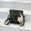 Bolso Cubo Acolchado de Cadena de Moda 2026 Verano Nuevo Tendencia Nicho Estilo Coreano Versátil Bolso de Hombro Cruzado