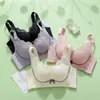 Sensação de nuvem 892 renda de laço temperamento sem costura coleta do busto lingerie sem fio respirável push up sutiã confortável