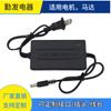 Adaptador de energia 12v3a display montado na parede luz LED com motor motor de mesa medidor europeu fio duplo 36w