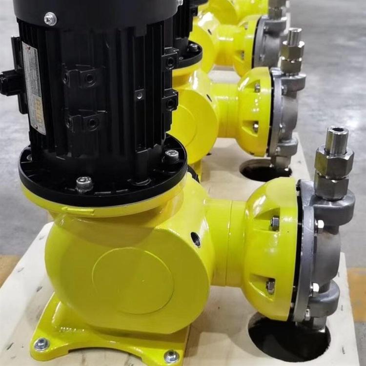 机械隔膜式计量泵 (6)