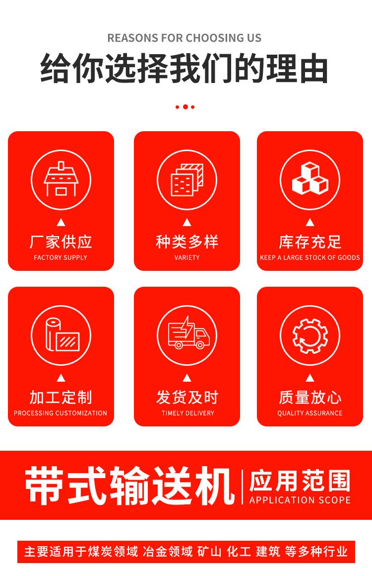 DTII带式输送机_02.jpg